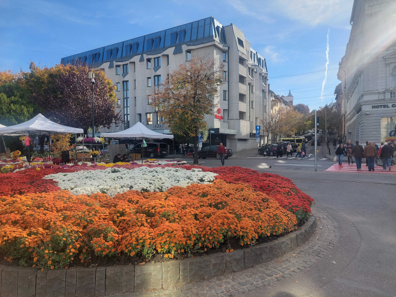 Marosvásárhely, általánosan